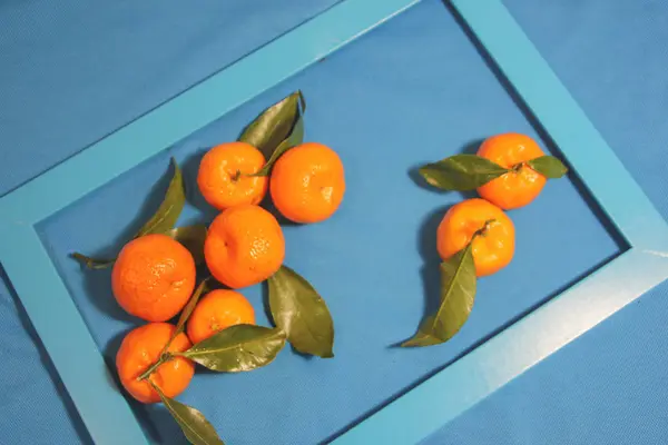 水色、青、背景の葉とみかん。オレンジとブルー — ストック写真