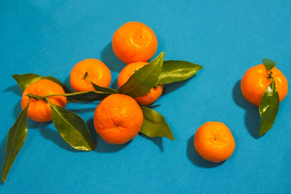 Mandarynki z liści na niebieski, niebieski, tło. Pomarańczowy i niebieski — Zdjęcie stockowe
