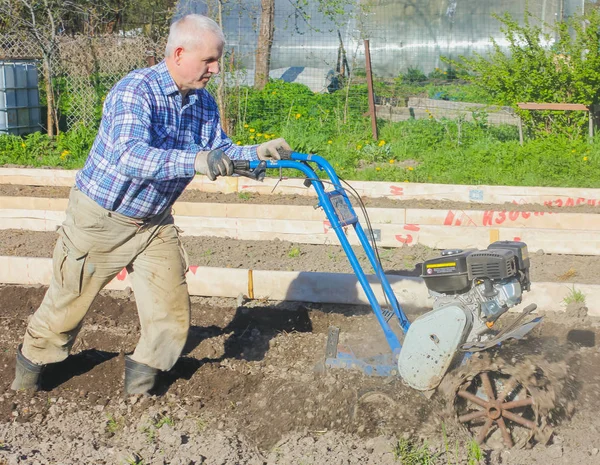 Jordbrukaren plogar marken med ett motor-block. Plöjning i grou — Stockfoto