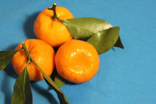 Trzy mandarynki z liści na niebieski, niebieski, tło. pomarańczowy — Zdjęcie stockowe