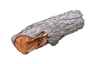 Beyaz arkaplanda izole edilmiş kereste