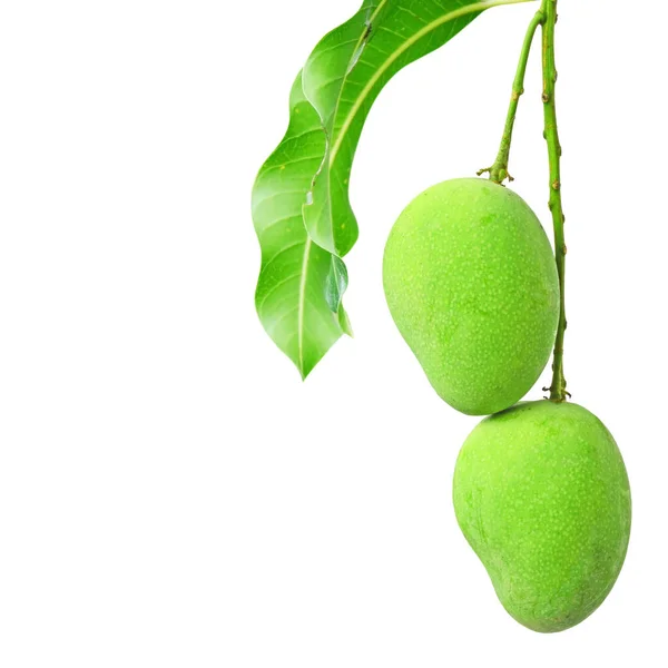Beyaz arkaplanda yeşil mango izole edildi