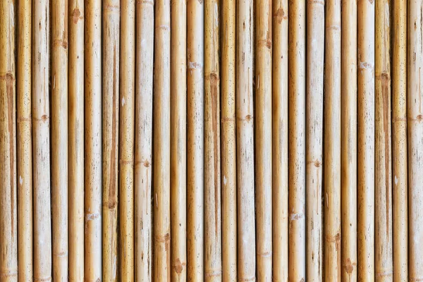 Närbild Bambu Staket Bakgrund — Stockfoto