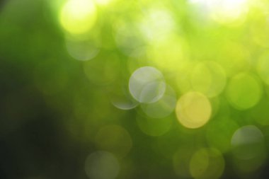 Bulanık yeşil bokeh soyut arkaplan