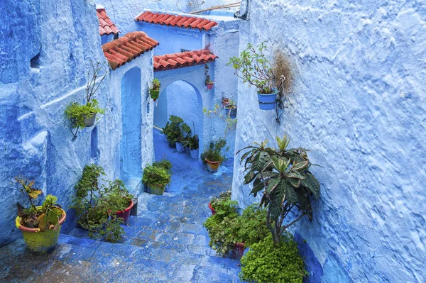 Hermosa Medina Azul Chefchaouen Marruecos — Foto de Stock