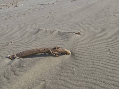 Bir plajın kumundaki çizgiler, Toskana İtalya