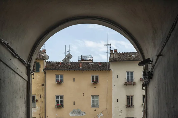 Lucca Toscana Itália Famosa Praça Medieval Conhecida Como Piazza Amphitheater — Fotografia de Stock