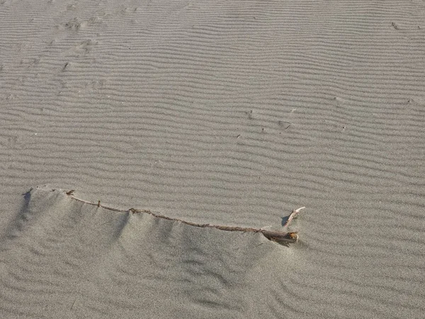 Lines in the sand of a beach, Tuscany Italy