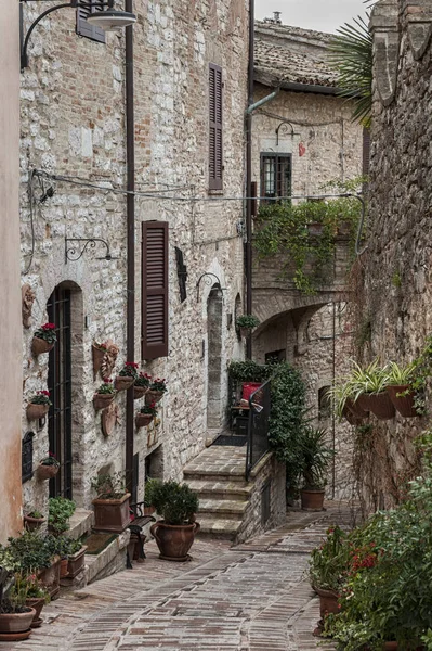 Spektakularny Kolorowy Tradycyjny Włoski Średniowieczny Aleja Zabytkowym Centrum Pięknego Miasteczka — Zdjęcie stockowe