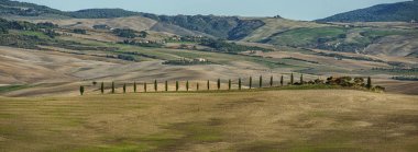 Val D'Orcia, Toskana-İtalya, 30 Ekim 2016: Val D'Orcia, İtalya'da tepeler ve vadiler ile doğal Toskana manzara