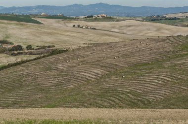 Val d 'Orcia, Toskana-Italy, Ekim 30, 2016: Val d 'Orcia, Italya sonbaharda tepeler ve vadiler ile manzaralı Toskana peyzaj