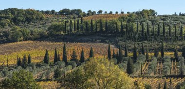 Sant Antimo Romanesk Manastırı çevresindeki manzara Montalcino, Toskana komün eski bir Benedictine manastır