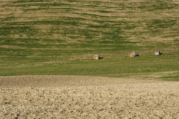 Val Orcia Tuscanía Italia Octubre 2016 Paisaje Escénico Toscana Con —  Fotos de Stock