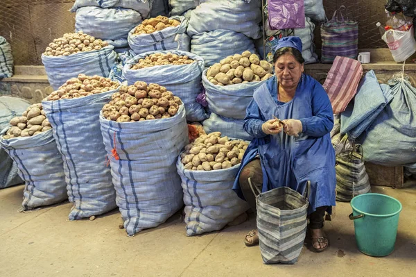 Sucre Bolivia Agosto 2017 Mujer Boliviana Identificada Vendiendo Papas Mercado —  Fotos de Stock