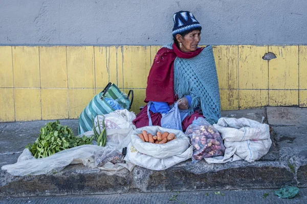 Potosi Bolívie Srpen 2017 Neidentifikovaná Bolivijská Žena Prodávajících Zeleninu Ulici — Stock fotografie