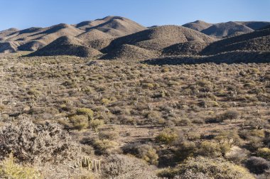 Puerta del Diablo, Tupiza yakınlarında kuru kırmızı Kanyon Quebrada de Palmira kırmızı kaya oluşumu, Bolivian Andes-Bolivya, Güney Amerika