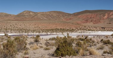 San Antonio de lipez yolunda güzel Bolivya manzara-boliva, Güney Amerika