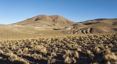 Morejon Lagoon yol boyunca güzel manzara-Bolivya, Güney Amerika
