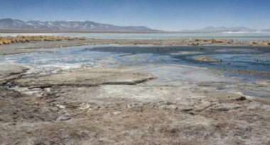 Arka planda Salar de Chalviri ile Laguna y Termas de Polques kaplıca havuzu, salar de Uyuni, Potosi, Bolivya-Güney Amerika