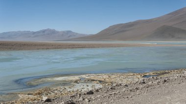 Arka planda Salar de Chalviri ile Laguna y Termas de Polques kaplıca havuzu, salar de Uyuni, Potosi, Bolivya-Güney Amerika