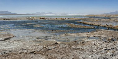 Arka planda Salar de Chalviri ile Laguna y Termas de Polques kaplıca havuzu, salar de Uyuni, Potosi, Bolivya-Güney Amerika