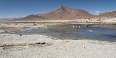 Arka planda Salar de Chalviri ile Laguna y Termas de Polques kaplıca havuzu, salar de Uyuni, Potosi, Bolivya-Güney Amerika