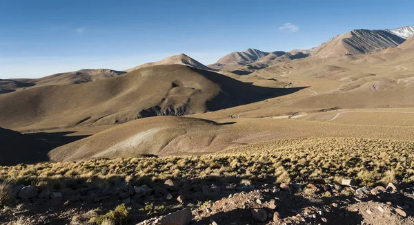 Beau Paysage Long Chemin Vers Lagune Morejon Bolivie Amérique Sud — Photo