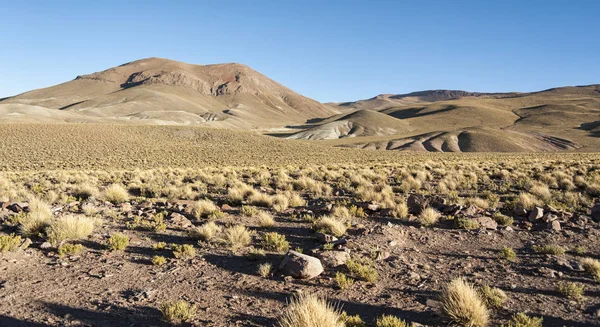 Bela Paisagem Longo Caminho Para Lagoa Morejon Bolívia América Sul — Fotografia de Stock