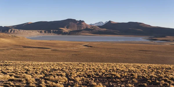 Vackert Landskap Längs Vägen Till Morejon Lagoon Bolivia Sydamerika — Stockfoto