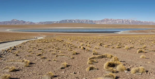 Laguna Kollpa Kkota Collpa Laguna Sud Lpez Province Potos Department — Stock Photo, Image