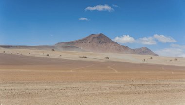 Eduardo Avaroa Andean fauna Ulusal Rezerv Salvador Dali çöl üzerinde panoramik görünümü, Bolivya Güney Amerika