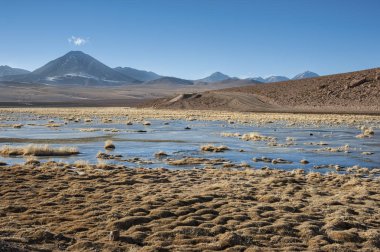 Aktif yanardağ Putana (Jorqencal veya Machuca olarak da bilinir) Atacama Çölü 'nde Vado Rio Putana yakınında, Şili-Güney Amerika
