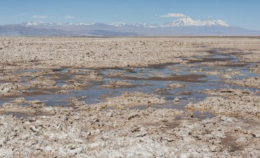 Salar de Atacama, Şili 'nin en büyük tuz düz (Atacama, Şili çöl) Güney Amerika