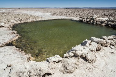 Salar de Atacama, Şili 'nin en büyük tuz düz (Atacama, Şili çöl) Güney Amerika