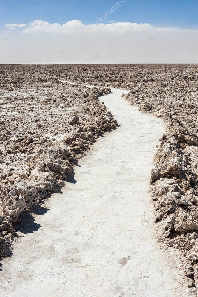 Salar de Atacama, the largest salt flat in Chile (Desert of the Atacama, Chile)  South America