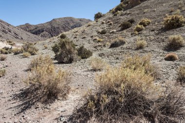 Gökkuşağı Vadisi (Valle Arcoiris), Şili'deki Atacama Çölü'nde. Domeyko dağlarının mineral zengin kayalar vadi çeşitli renkler vermek