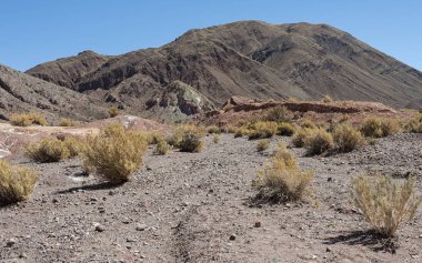 Gökkuşağı Vadisi (Valle Arcoiris), Şili'deki Atacama Çölü'nde. Domeyko dağlarının mineral zengin kayalar vadi çeşitli renkler vermek
