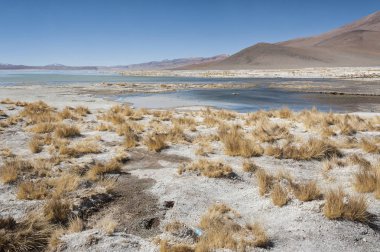 Arka planda Salar de Chalviri ile Laguna y Termas de Polques kaplıca havuzu, Salar de Uyuni, Potosi, Bolivya - Güney Amerika