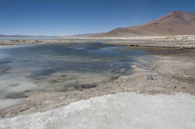 Arka planda Salar de Chalviri ile Laguna y Termas de Polques kaplıca havuzu, Salar de Uyuni, Potosi, Bolivya - Güney Amerika