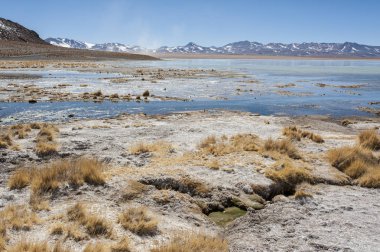 Arka planda Salar de Chalviri ile Laguna y Termas de Polques kaplıca havuzu, Salar de Uyuni, Potosi, Bolivya - Güney Amerika