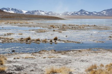Arka planda Salar de Chalviri ile Laguna y Termas de Polques kaplıca havuzu, Salar de Uyuni, Potosi, Bolivya - Güney Amerika