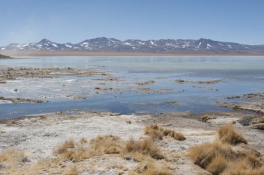 Arka planda Salar de Chalviri ile Laguna y Termas de Polques kaplıca havuzu, Salar de Uyuni, Potosi, Bolivya - Güney Amerika