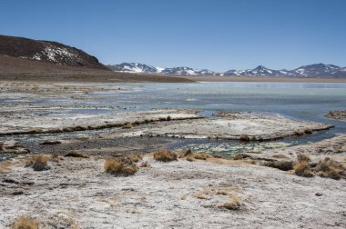 Arka planda Salar de Chalviri ile Laguna y Termas de Polques kaplıca havuzu, Salar de Uyuni, Potosi, Bolivya - Güney Amerika
