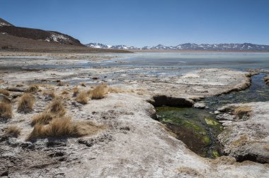 Arka planda Salar de Chalviri ile Laguna y Termas de Polques kaplıca havuzu, Salar de Uyuni, Potosi, Bolivya - Güney Amerika