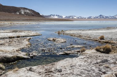 Arka planda Salar de Chalviri ile Laguna y Termas de Polques kaplıca havuzu, Salar de Uyuni, Potosi, Bolivya - Güney Amerika