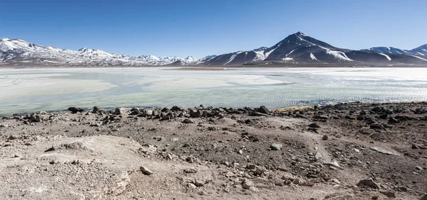 Laguna Blanca White Lagoon Wulkan Licancabur Boliwia Piękne Boliwijskie Panoramy — Zdjęcie stockowe