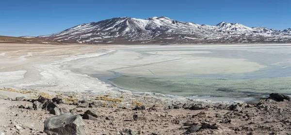 Laguna Blanca Laguna Bianca Vulcano Licancabur Bolivia Bellissimo Panorama Boliviano — Foto Stock