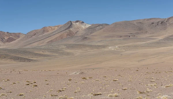 Panoramautsikt Över Salvador Dali Öknen Eduardo Avaroa Andes Fauna National — Stockfoto