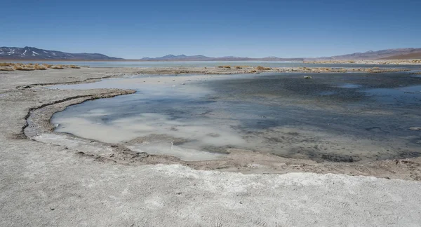 Laguna Termas Polques Piscina Termale Con Salar Chalviri Sullo Sfondo — Foto Stock