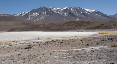 Laguna Chiarkota - Sandalye Kkota (4700 mt) Bolivya altiplano güneybatısında sığ bir tuzlu göl, Şili sınırına yakın